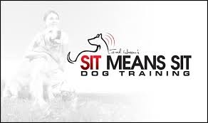 Sit Means Sit