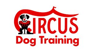 Circus Dog Training